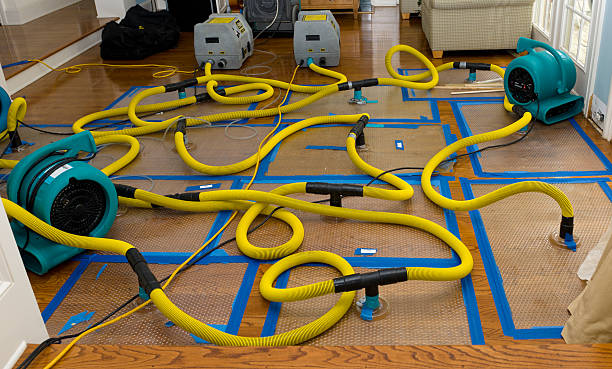 Professional Water Extraction technician working in Carlisle, IA